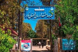 بازدید کارشناس واحد جوانی جمعیت دانشگاه علوم پزشکی شیراز از شبکه بهداشت و درمان کوار