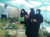 آموزش زنان روستایی در طرح بهبود تغذیه و ایجاد باغچه‌های سالم خانگی کوار