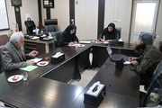 کمیته مشترک شبکه بهداشت و درمان شهرستان کوار با بیمه سلامت