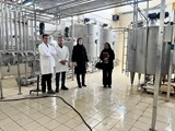 بازدید مسئولین شبکه بهداشت و درمان کوار از واحدهای تولیدی صنایع لبنی شهرستان کوار